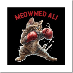 Meowmed Ali Posters and Art